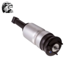 SJM Shock Absorber Front Axle Gas Pressure Bottom Eye Top Pin For Land Rover RNB501580