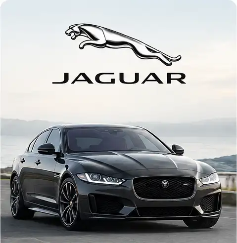 Jaguar Brand